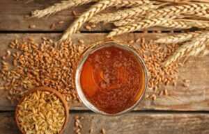 تاریخچه فرایند مالت سازی