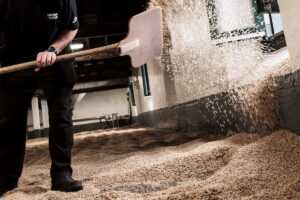 همه آنچه که باید در مورد مالت سازی بدانید